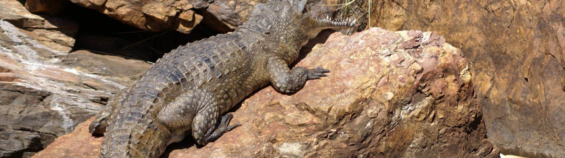 One unforgettable day in the East Kimberley