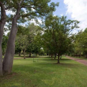 Shady and grassy sites. Ivanhoe Village Caravan Resort - Kununurra caravan park